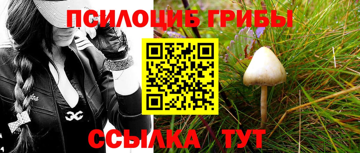 Галлюциногенные грибы Psilocybine cubensis Нефтеюганск