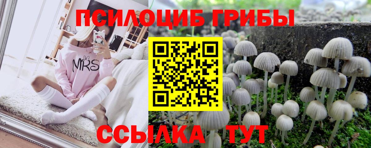 Нефтеюганск  Псилоцибиновые грибы Magic Shrooms  магазин    Вход с VPN  Псилоцибиновые грибы Magic Shrooms 
